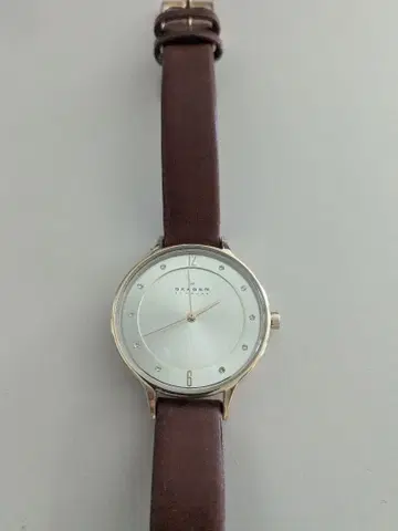 SKAGEN 손목시계 골드/브라운