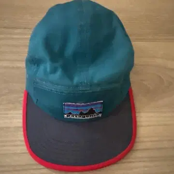 patagonia 캡 그린 계열