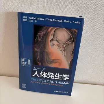 무어 인체 발생학 제11판
