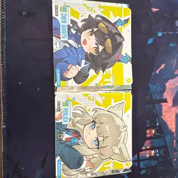 엔드필드 첸&페리카 코스터 2종