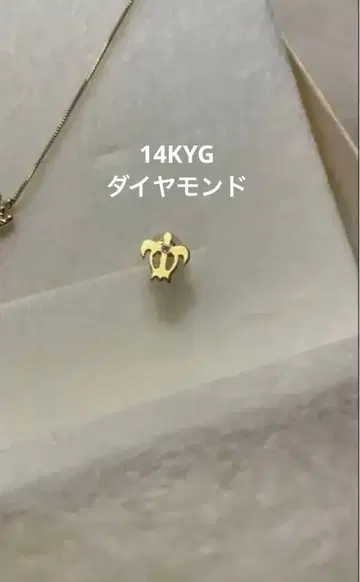 K14와 다이아몬드 거북이 귀걸이