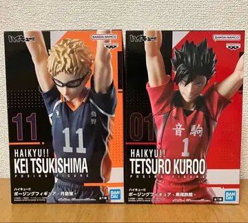 하이큐 포징 피규어 츠키시마 케이 쿠로오 테츠로