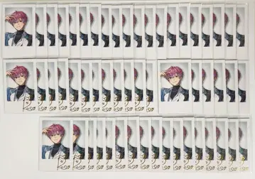 니지산지 데뷔 폴라로이드 스프레아 황 레오 N26R29