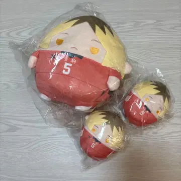 하이큐 후와코로링 연마