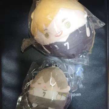 하이큐!! 누이 복권 복권 메이트