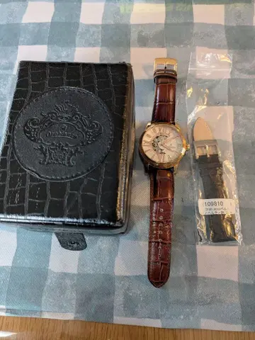 오로비앙코 자동 와인딩 시계 브라운 가죽