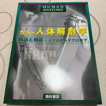 컬러 인체 해부학