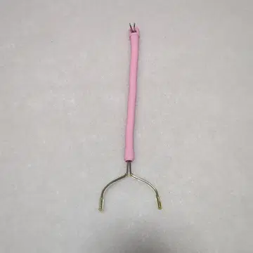 브라이스 치치봉