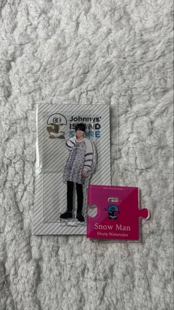 Johnny's 아크릴 스탠드 Snow Man 와타나베 쇼타
