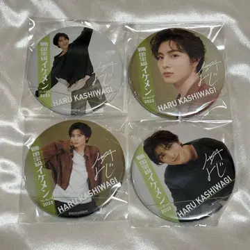 초특급 하루 카시와기 유우 ViVi 국보급 미남 온라인 복권 C상 캔뱃지