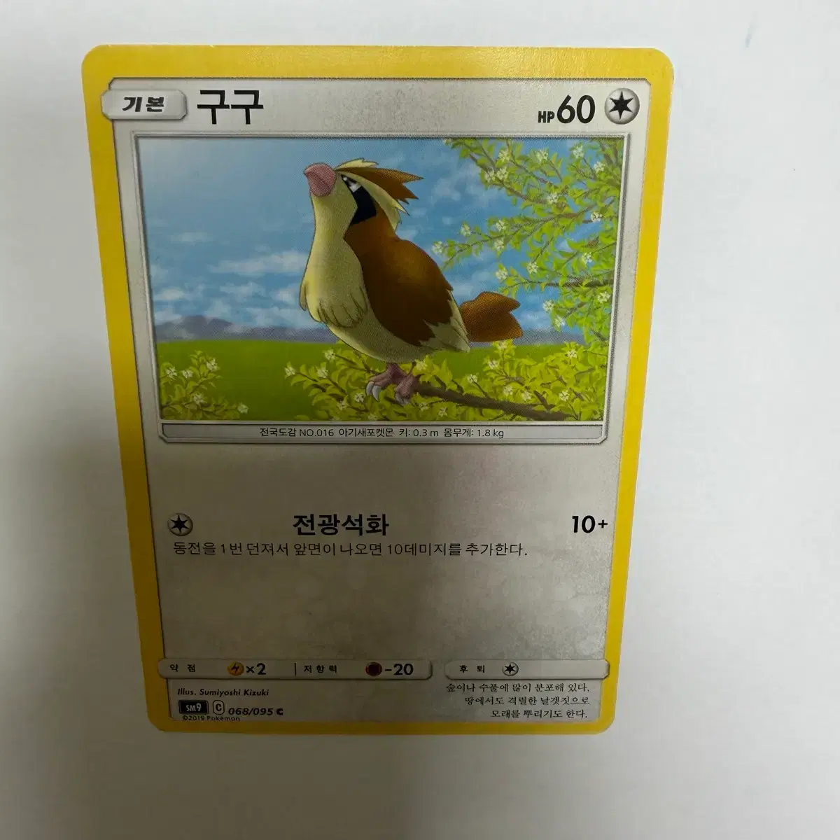 Pokemon Card Pidgey/Spearow on Bunjang Global Site. Pokemon Card Pidgey/Spearow on Bunjang Global Site.