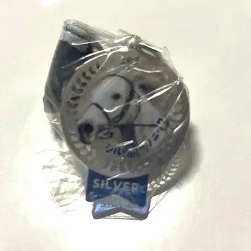 아이돌 호스 미니 컬렉션 vol.40 실버 소닉