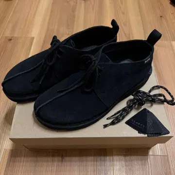 Clarks Desert Trek GTX