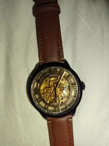 FOSSIL 자동 감기 (오토매틱) 손목시계 스켈레톤