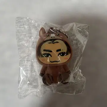 후카호리 미라이 인형옷 키링 오후