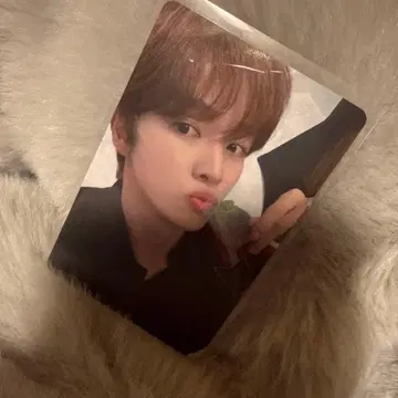 성찬 트레이딩 카드