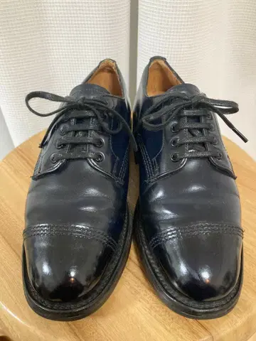 썬더스 밀리터리 더비 sanders UK4