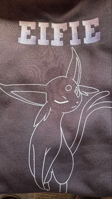 에브이 트레이너