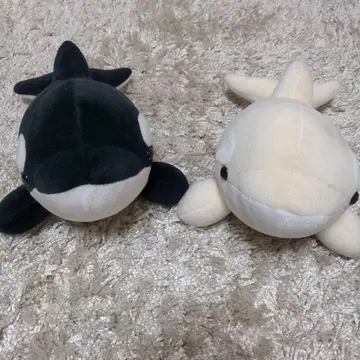 돌고래 봉제인형 세트