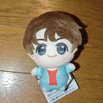 BTS TinyTAN DNA SD 인형 vol.2 정국