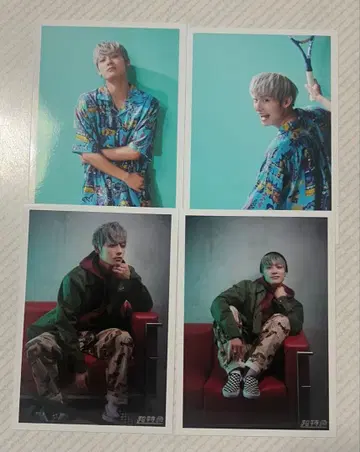 초특급 알로하 생탄생 사진