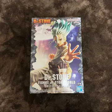 피규어 닥터 스톤 이시가미 센쿠 피규어 오브 스톤 월드