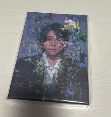 오오모리 모토키 OITOMA 아트 보드