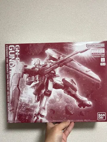 MG 1/100 건담 듀나메스 (트랜잠 모드) 글로스 인젝션