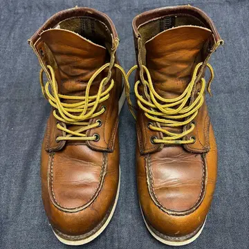 레드윙 세로 깃털 택 875 9-1/2E