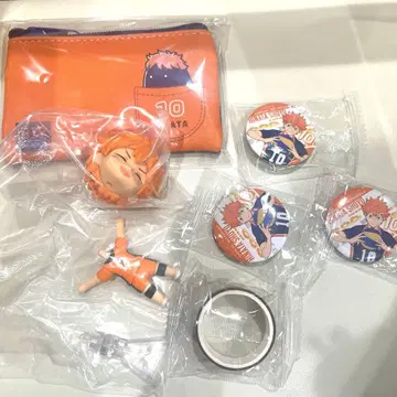 하이큐 히나타 쇼요