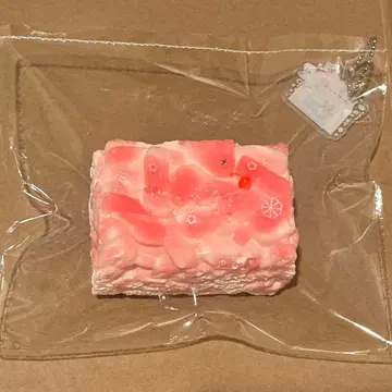 스퀴즈 bingbingstudio