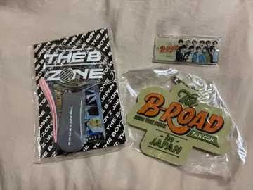 THEBOYZ 도보이즈 THEBZONE 응원봉 아크릴 키링 카드 홀더