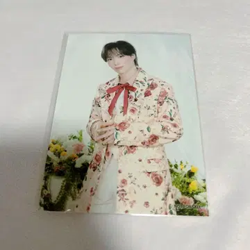 SHOW-WA 시오타 마사키 브로마이드