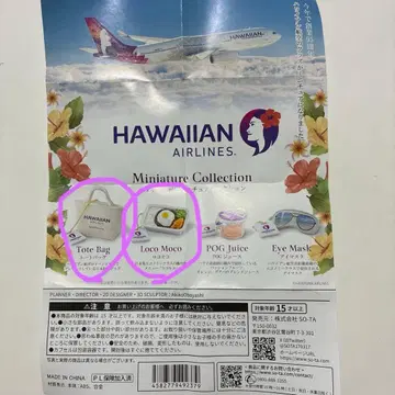 가챠 하와이안항공 미니어처 컬렉션 2종