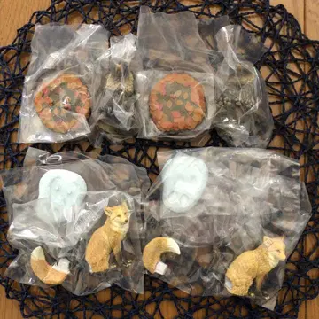 가챠가챠 생물대도감 개과 여우 너구리 총 4점 세트