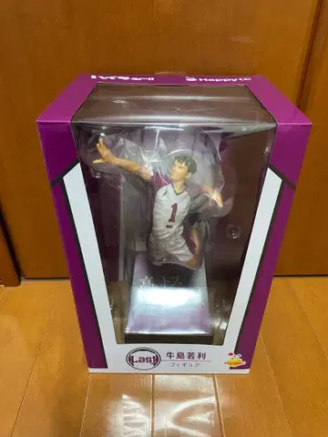 우시지마 와카토시 피규어 last상