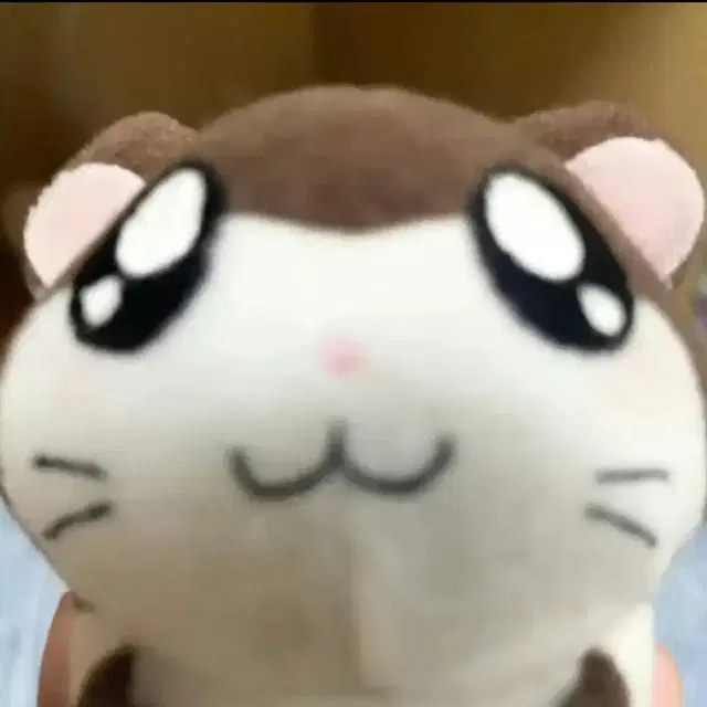 엔하이픈 성훈 응원봉 커버 인형 훈댕이, 훙끼, 훈니끼리, 맹후니