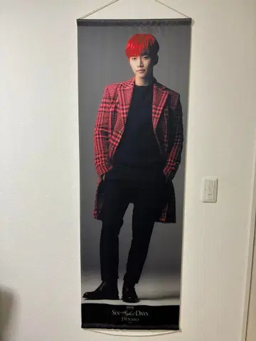 2PM six Higher days 준호 태피스트리