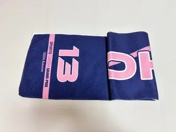 최강 스포츠 남자 정상 결전 2024 가을 초특급 알로하 타월