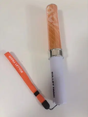 초특급 하루 응원봉 REAL?