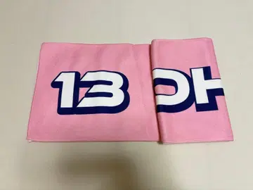 최강 스포츠 남자 정상결전 2024 초특급 알로하 타월