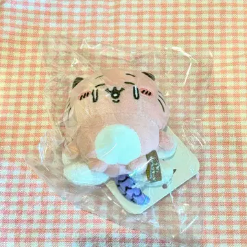 나가노 갑자기 파워업! 미니미니 오스와리 마스코트 키메라