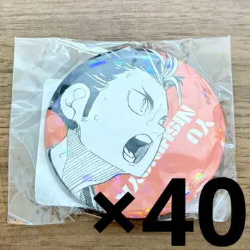 니시노야 유우 올스타 캔뱃지 40개