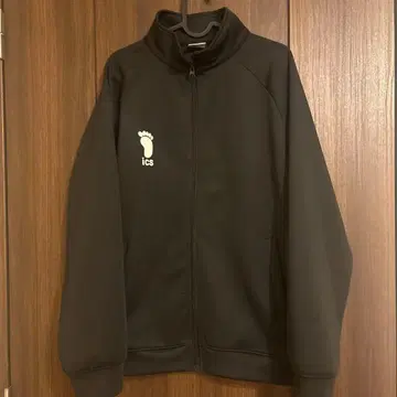 하이큐 카라스노 저지 10주년 공식 L