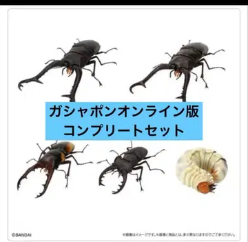 [온라인판] 생물대도감 장수풍뎅이 11 수피 받침대 (소) 전 5종 세트