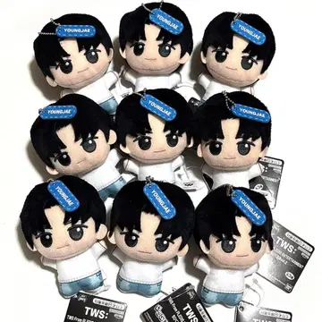 TWS From PLEDIS ENTERTAINMENT SD 인형 영재