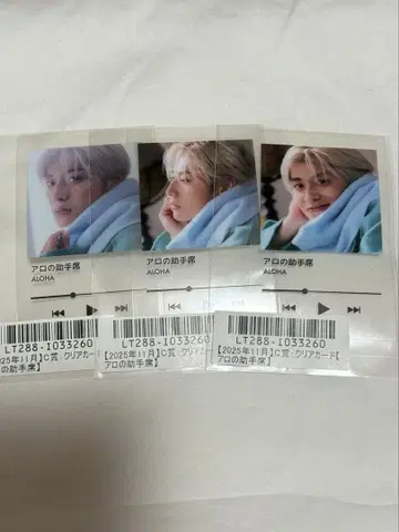 초특급 알로하 클리어 카드 3종 컴프 세트