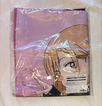 그 옷 갈아입히기 인형은 사랑을 한다 비스크돌 키타가와 마린 하피