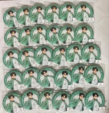 진격의 거인 에스크 리바이 캔뱃지 30개