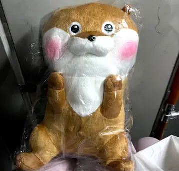 귀여운 동물 봉제 인형